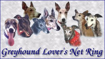 Greyhound Lover's Net Ring graphic